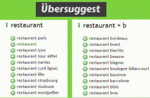 2-mots-clés-suggeres-310x203.gif