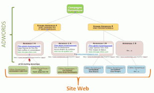 4-campagne-dynamique-adwords-310x187.png