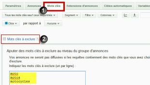 5-exclusion-mots-cles-310x175.png