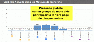 5-reporting-visibilité-moteur-recherche1-310x138.gif