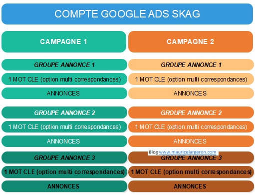 CAMPAGNE-GOOLE-ADS-SKAGS.jpg