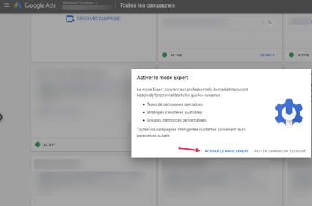 activer-le-mode-expert-google-ads-453x300.png