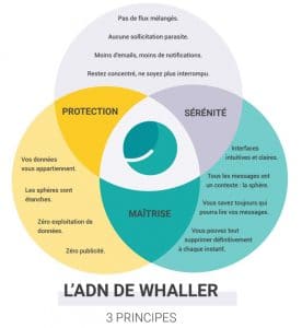 adn-whaller-reseau-social-open-source-276x300.jpg