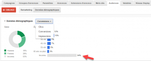adwords-audience-310x125.png