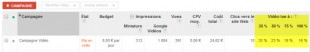 adwords-rapport-video-310x52.jpg