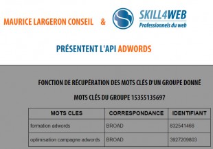 affichage-page-web-api-adwords-310x217.jpg