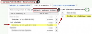 audience-similaire-310x114.jpg