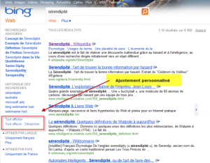 bing_adaptative-search-300x234.png