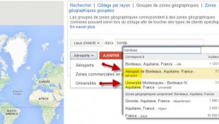 ciblage-geographique-interet-adwords-310x176.jpg