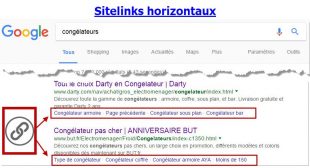 congélateurs-sitelinks-horizontaux-310x168.jpg