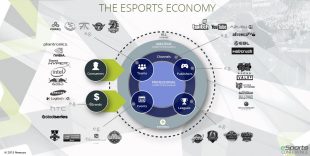 ecosysteme-esport-310x156.jpg