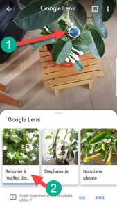 google-lens-sur-android-169x300.jpg