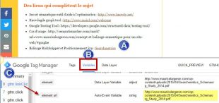 lien-pdf-sur-la-page-search-metrics-ecoute-par-tag-manager-310x146.jpg