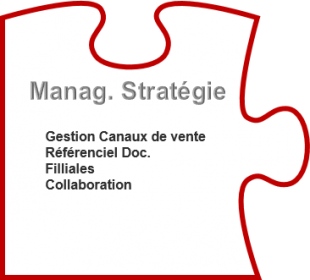 management-stratégique-310x280.png