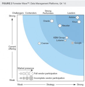 marche-des-data-management-platforms-292x300.jpg