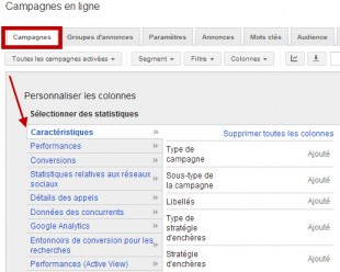 onglet-campagne-adwords-310x248.jpg