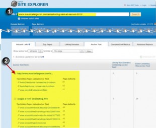 opensiteexplorer-310x254.jpg