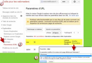 parametres-urls-310x212.jpg