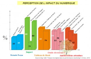 perception-des-performances-numériques-sur-le-marketing-310x203.jpg