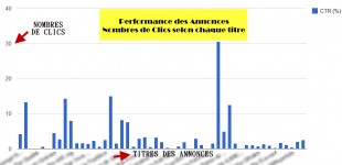perf-annonces-310x150.jpg