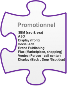 promotionnel-243x300.png