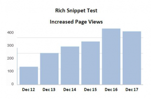 richsnippetSeo-310x204.png