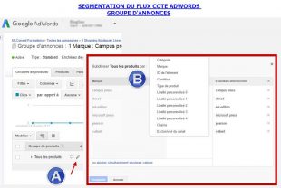 segmentation-cote-adwords-310x208.jpg