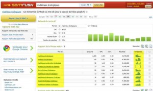 semrush-mots-cles-300x180.jpg