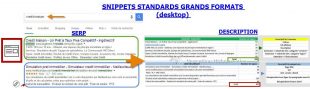 serp-et-annonce-grand-format-310x89.jpg