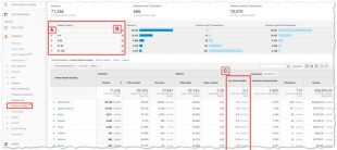 session-quality-google-analytics-310x138.jpg