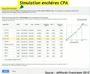simultion-cps-adwords-310x255.jpg