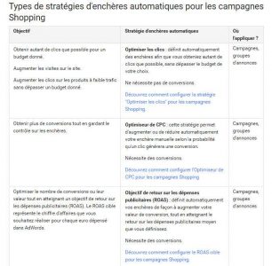 stratégie-enchères-automatiques-google-shopping-306x300.jpg