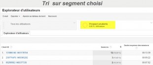 tri-sur-segment-google-analytics-310x133.jpg