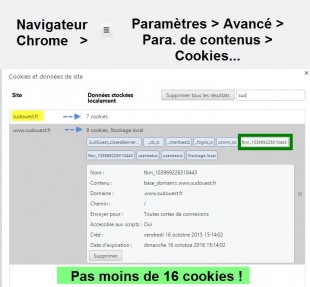 visualisation-cookies-310x287.jpg
